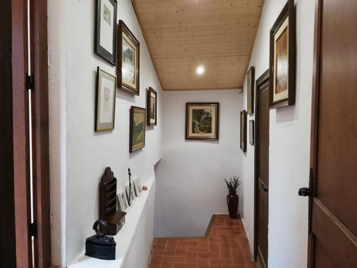 Cal Bove Apartment Sant Guim de Freixenet Exterior photo